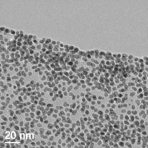 Iron Platinum nanoParticles