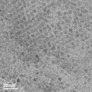 Colloidal PbSe nanoParticles