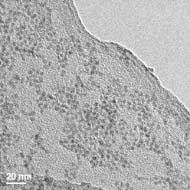 Colloidal PbSe nanoParticles