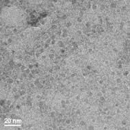PbSe nanoParticles